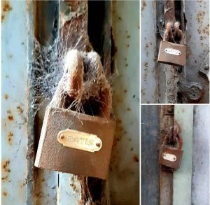 شک نکن آزادی تو…