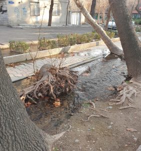 شاید در جهان دیگری…