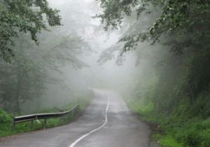 گردبادِ واژه‌ها