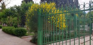 دست کشیدم