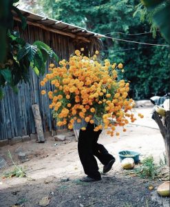 مهربانی را گران نکنیم