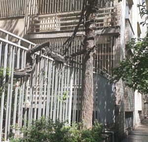 دنیایی ناممکن