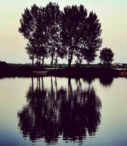بعضی آدم‌ها…