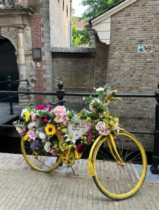 دوچرخه‌ی محبوبِ من