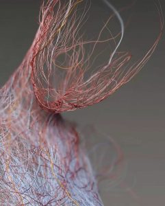 گمگشته