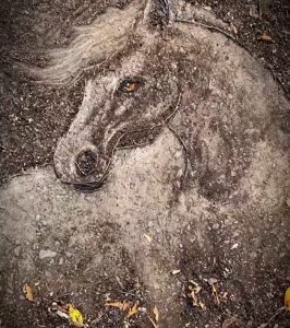 نورِ شب‌پره