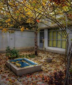 پاییزی ابدی