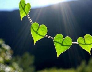 سبکی‌ای بی‌معنا و بی‌تعلق