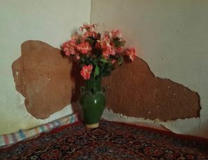 انکار نکن دردت را