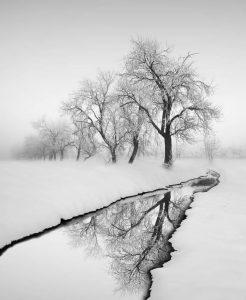 آرخه‌ی جهان