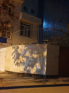 کشف زیبایی در دلِ شب