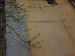 خانه‌ی پدری-مادری