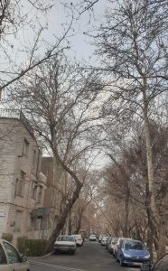 ساعتی خلوت
