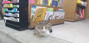 بهای شناخت!