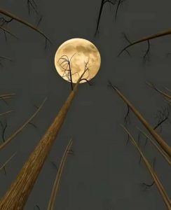 باز هم من و آن کوه شناور در یخ