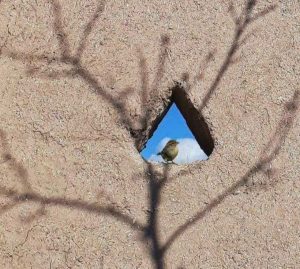 آدم‌های اَمن زندگی‌